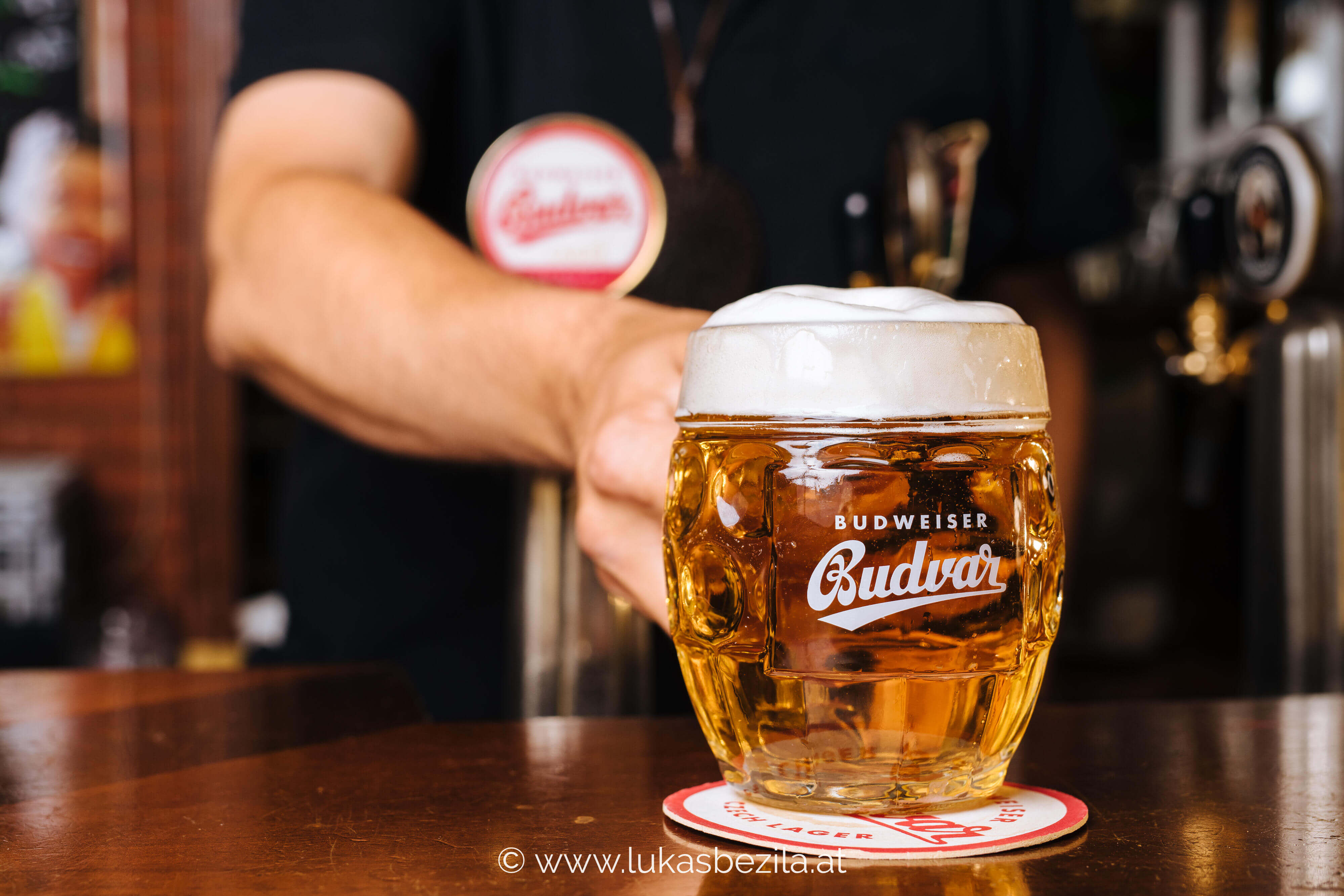 Bieradies Galerie