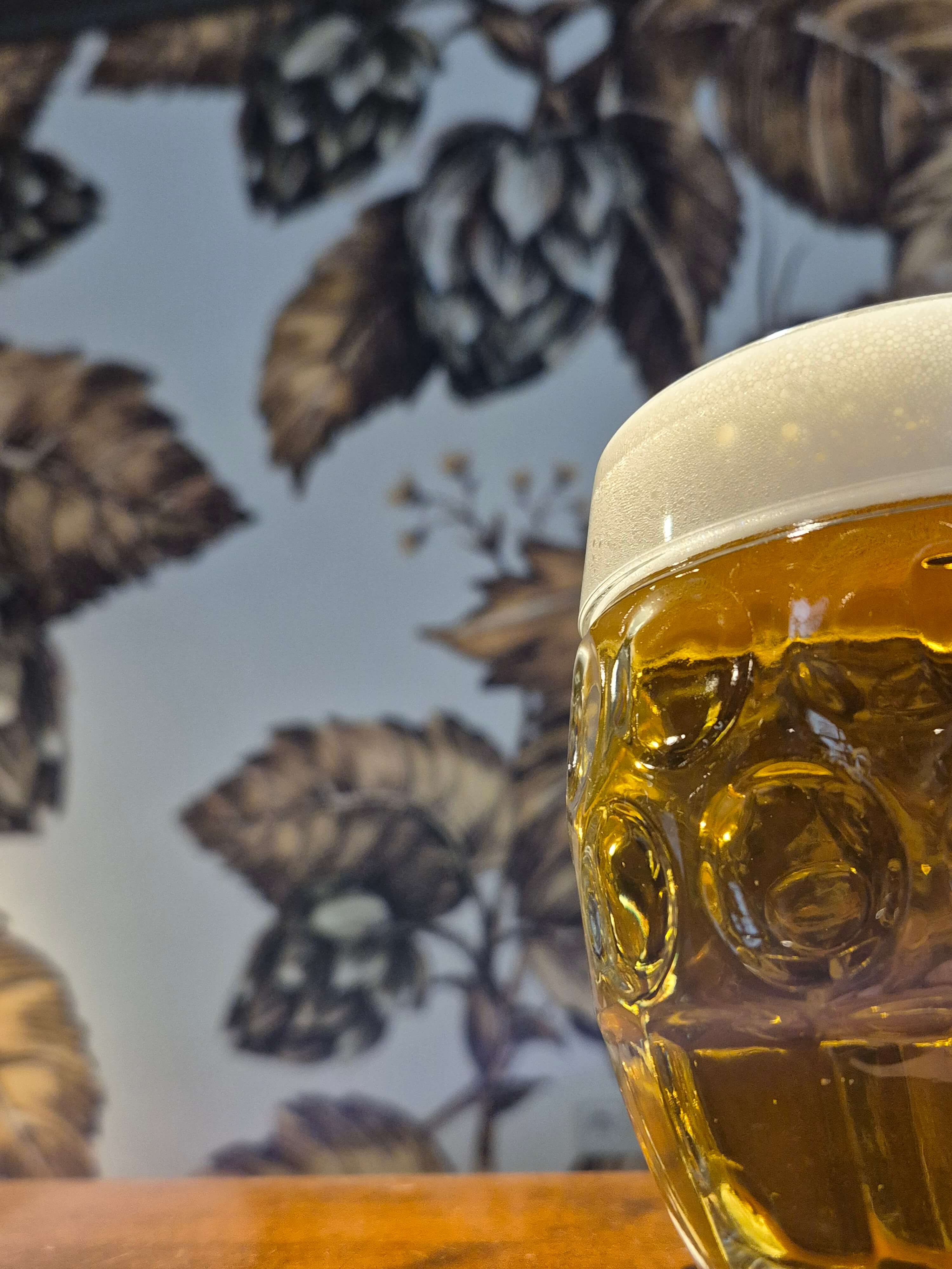 Bieradies Galerie